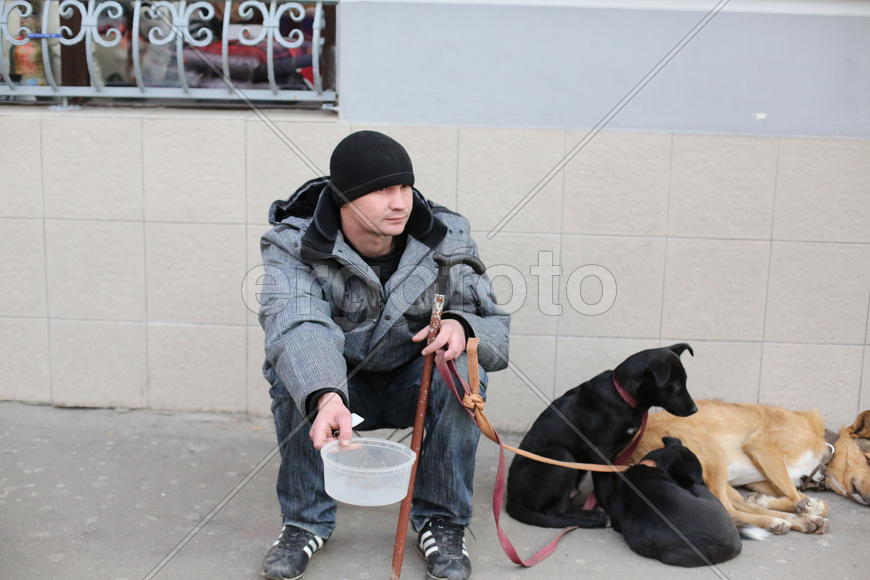 Попрошайка и собаки