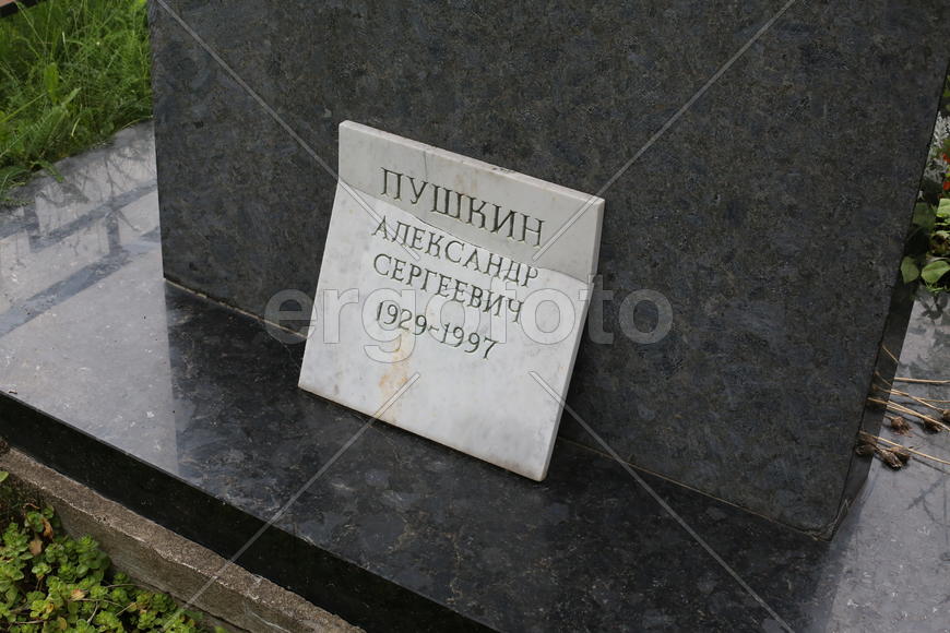 Пушкин Александр Сергеевич. Контр-адмирал, академик