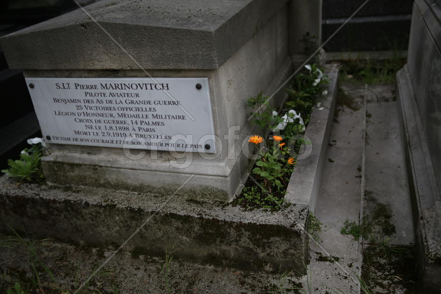 Ноготки на могиле