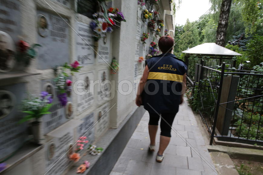 Оптимистичный ритуал