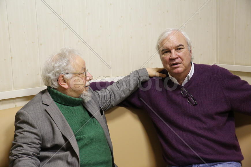 Два Владимира