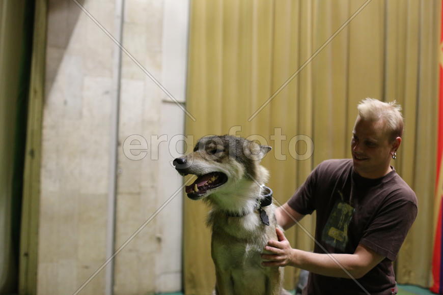 Театр Дурова, волк, дрессировщик