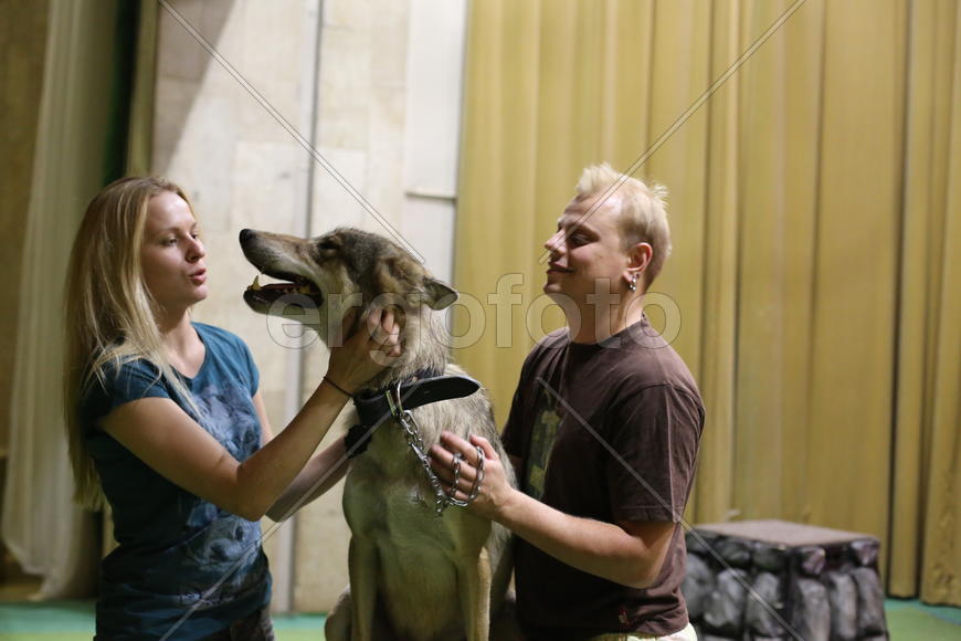 Волк, театр Дурова, дрессировщики