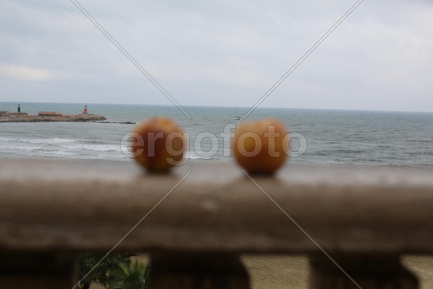 Два персика и одно море