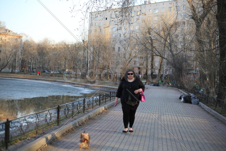 Хорошо на пруду