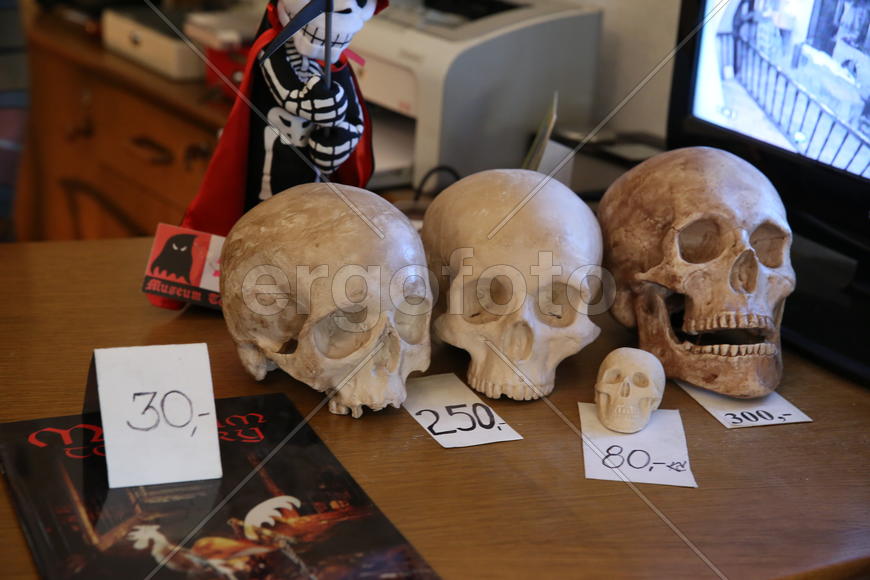 Игрушечные черепа-сувениры. Музей пыток