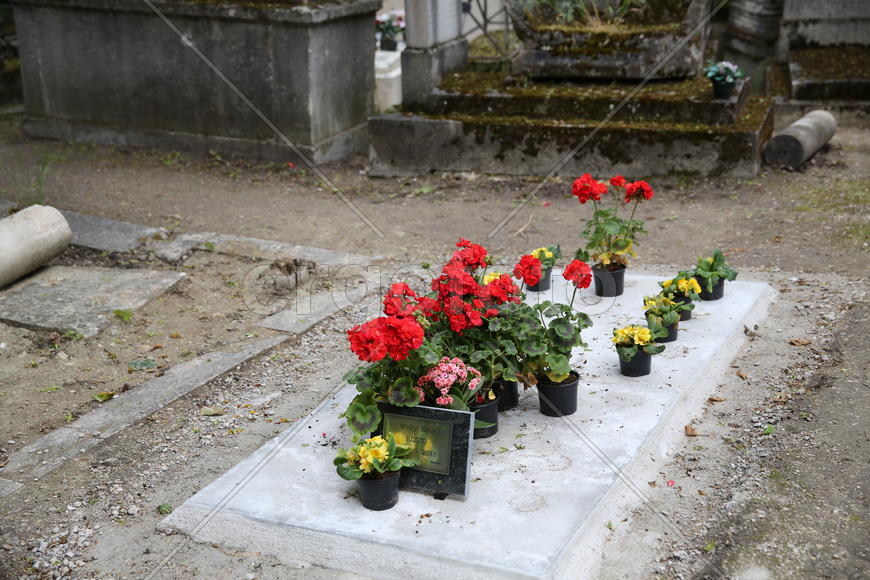 Новая могила