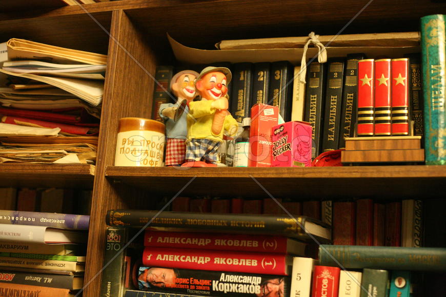 Домашняя библиотека Шахиджаняна