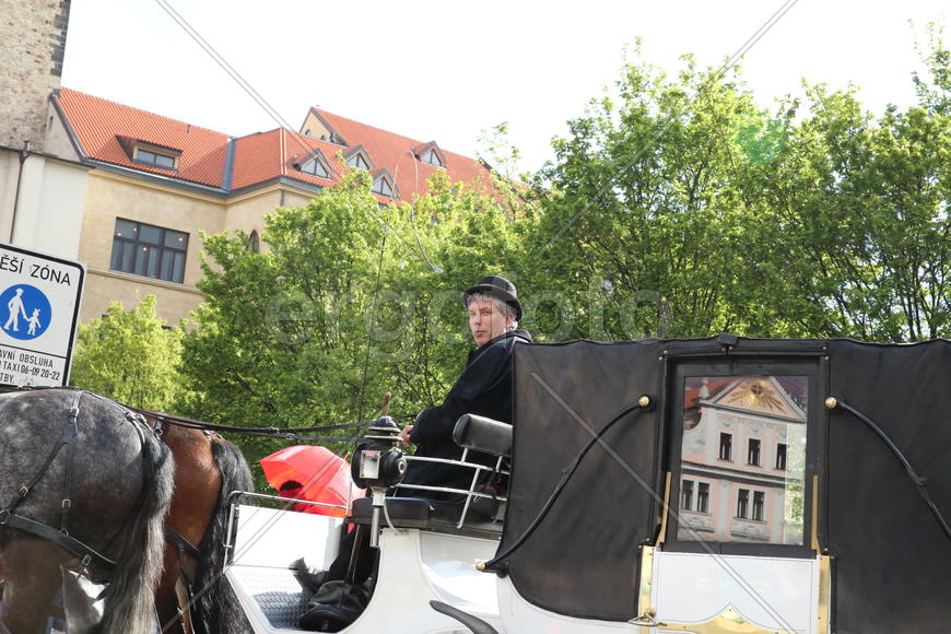 Пражский извозчик