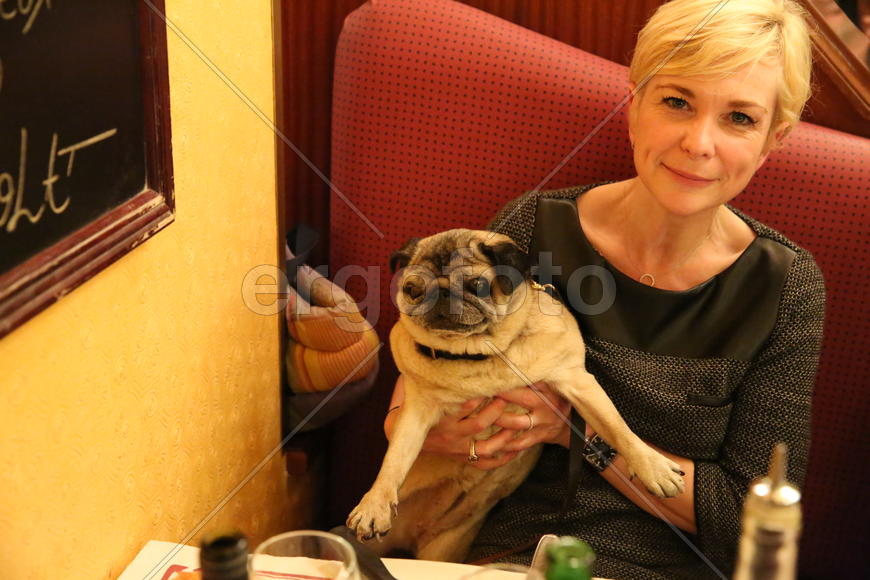 Собаку покормим