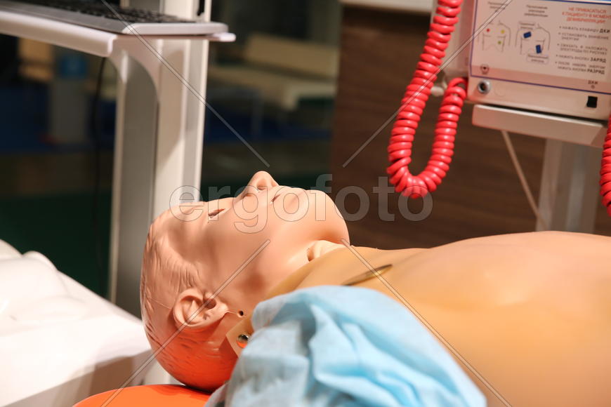 Манекен на выставке