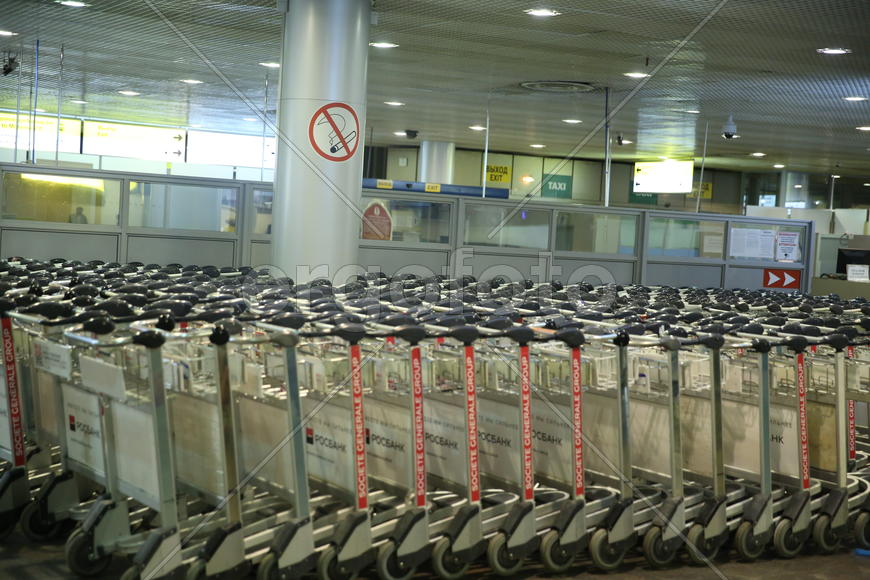 Тележки в аэропорту