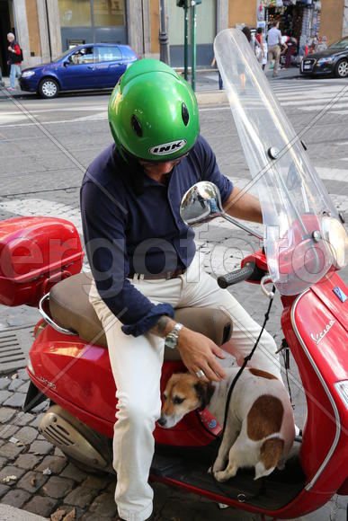 Мотороллер и собачка
