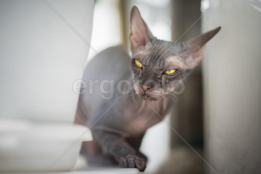 Не в настроении...