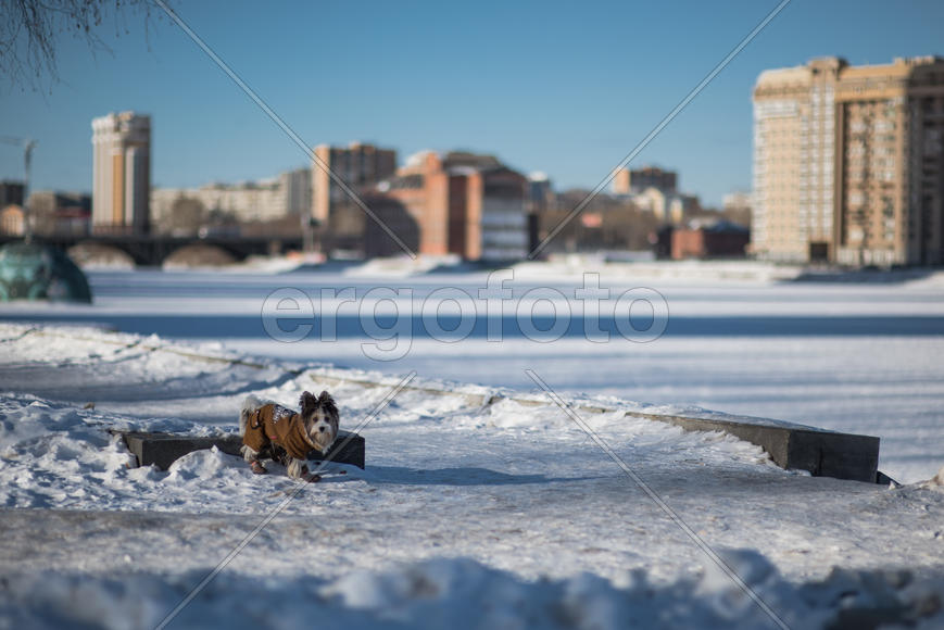 Моих не видел?