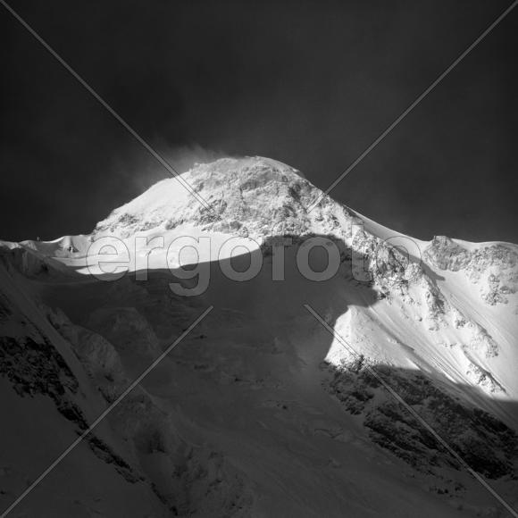 Тень пантеры