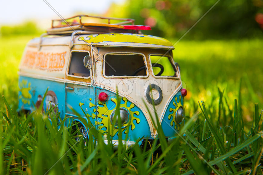 Базик в траве