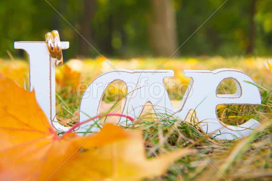 Любовь и осень