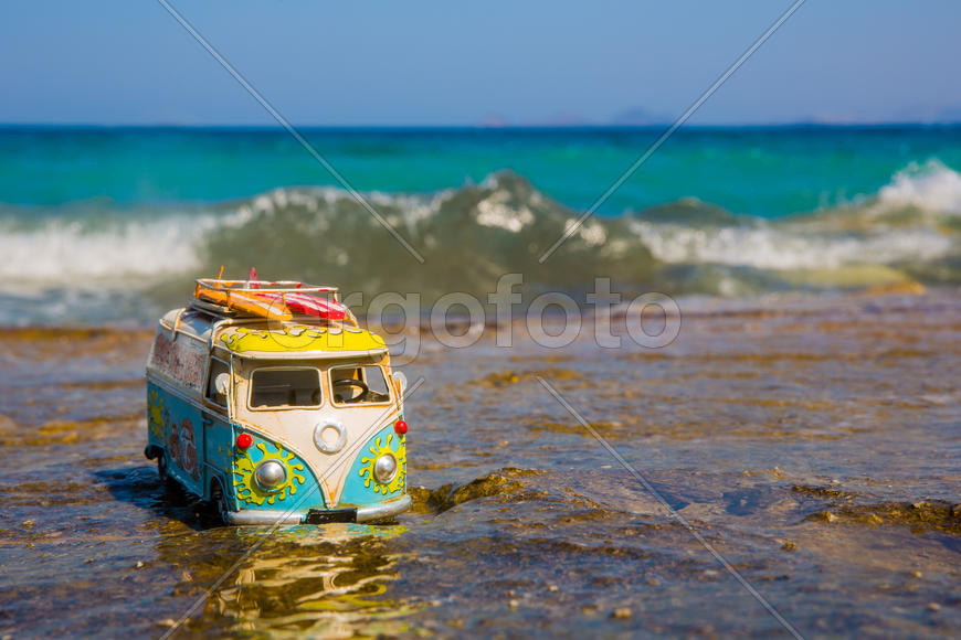 Базик и море