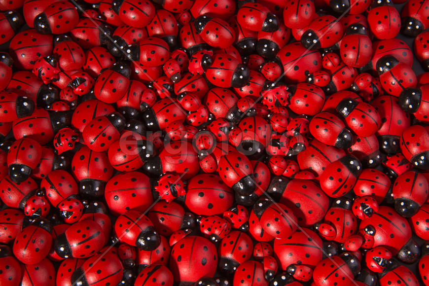 Божьи коровки