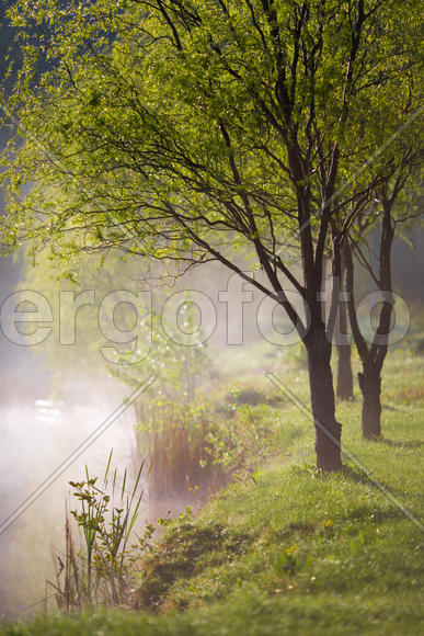 Утро в горах