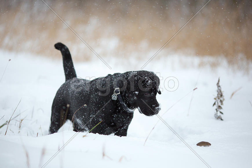 Вот это встреча!