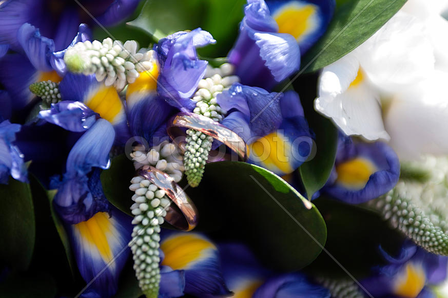 Обручальные кольца и цветы