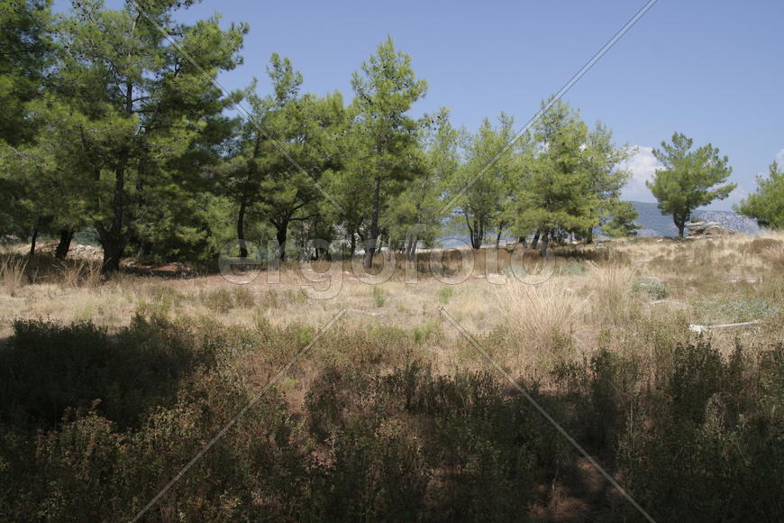 Скала над Турунчем