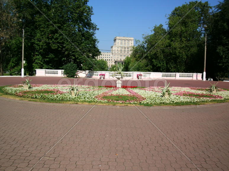площадь с цветами