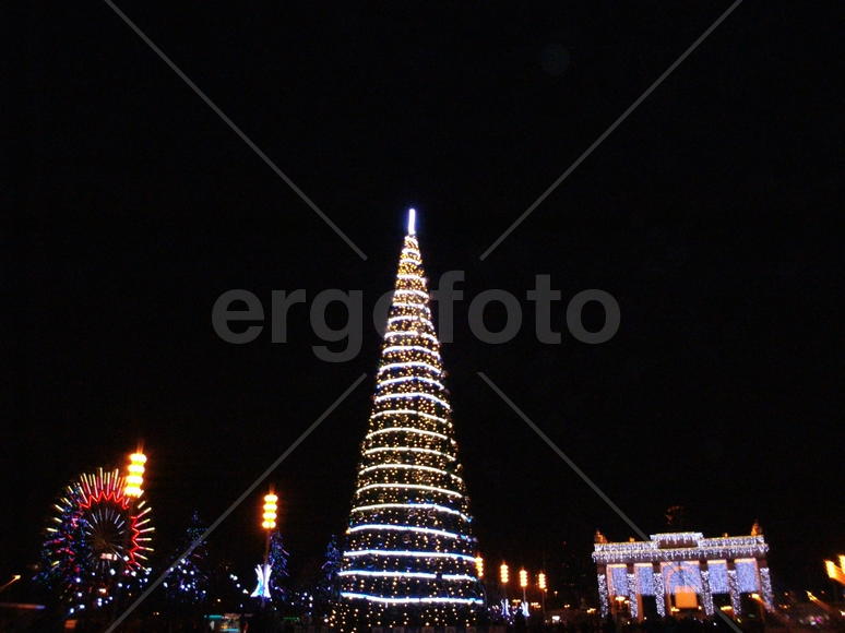 Елочка перед Центральным павильоном         