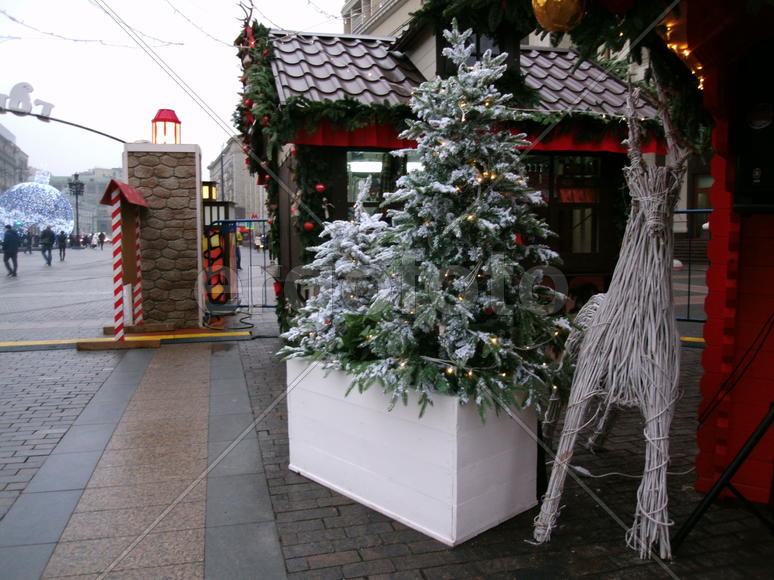 Елочка в "Городе гномов" на Манежной площади