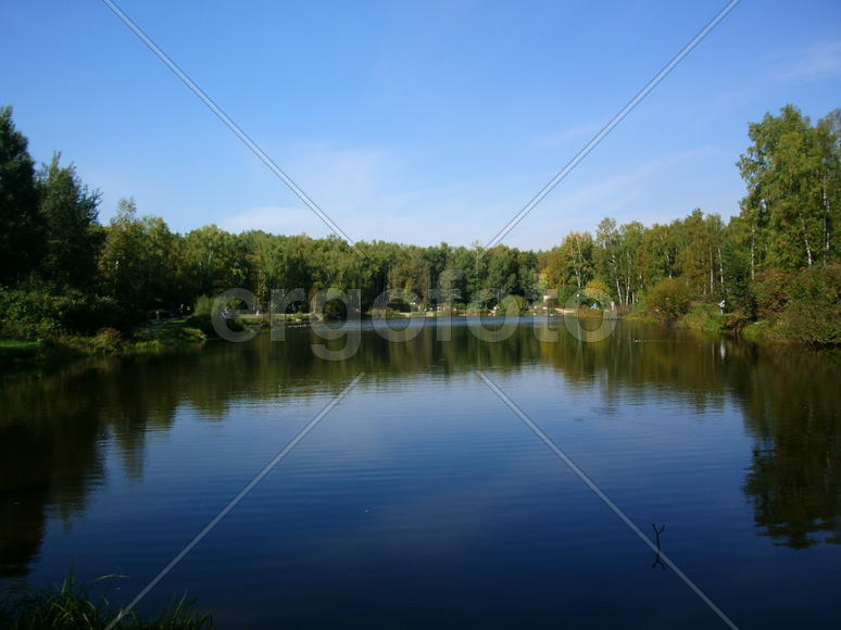 Чистая гладь воды