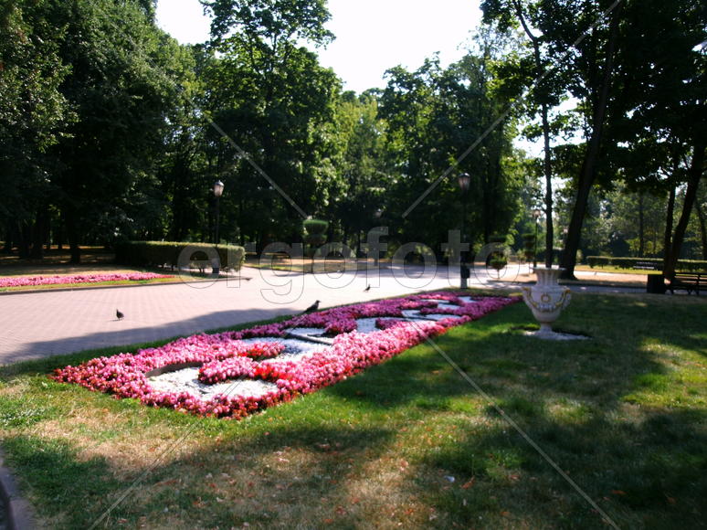 фигурные клумбы