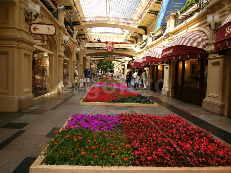 Цветники в ГУМе           