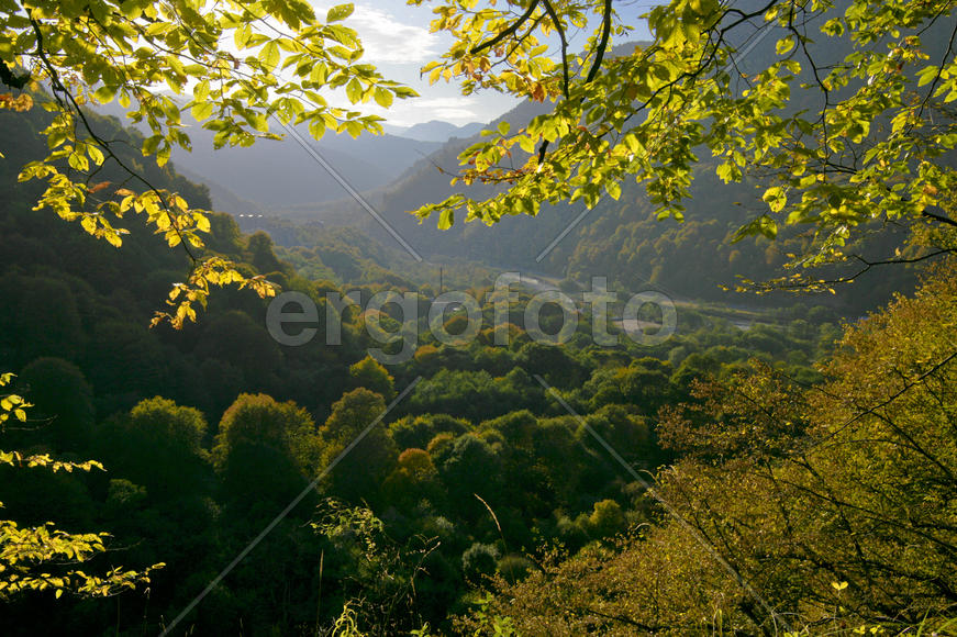 Красивый вид