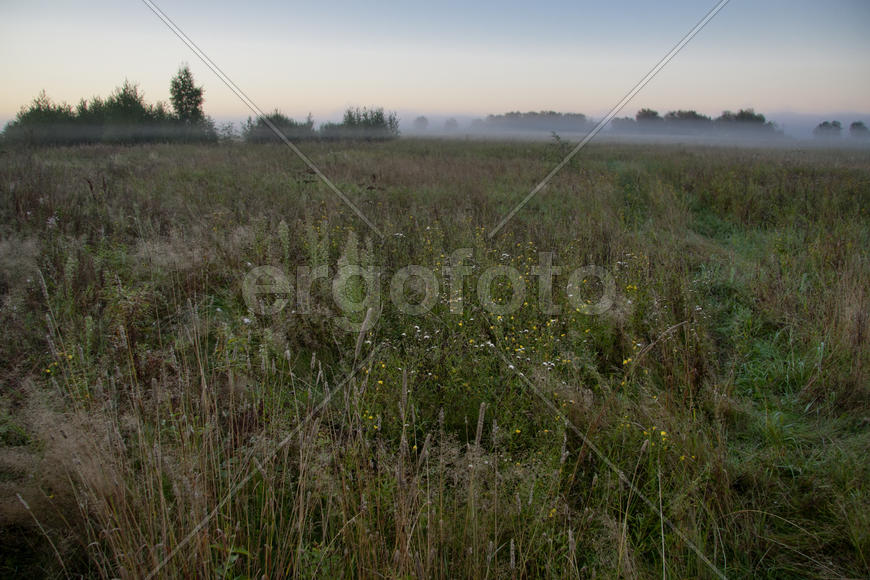 Поле, трава и пейзаж вдали