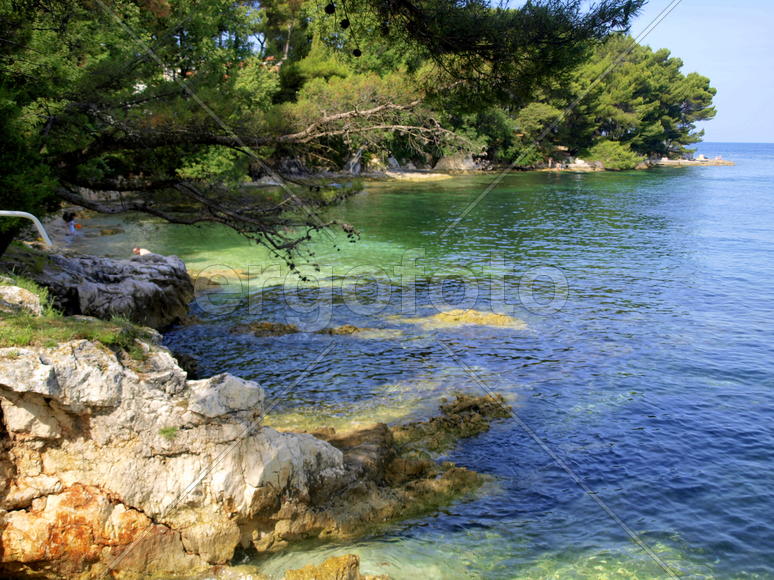 Вода, камни и деревья в Хорватии