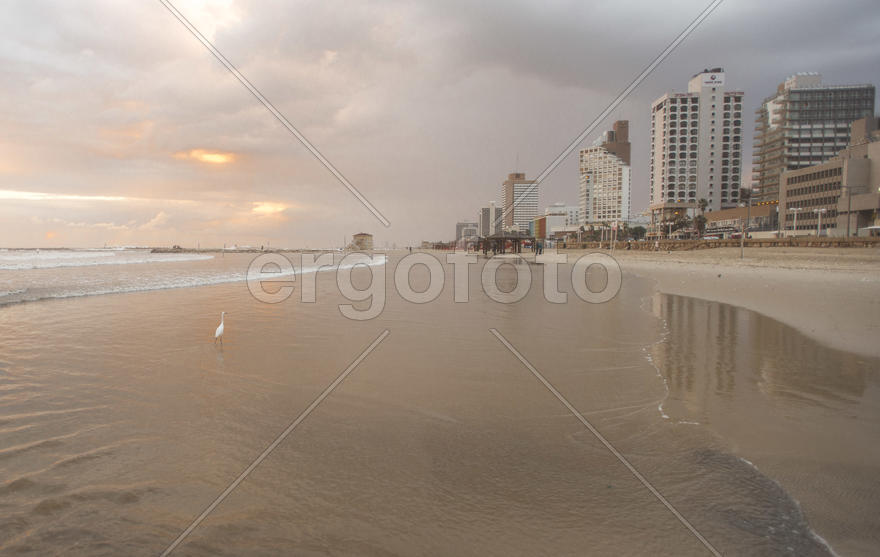 Дома у моря