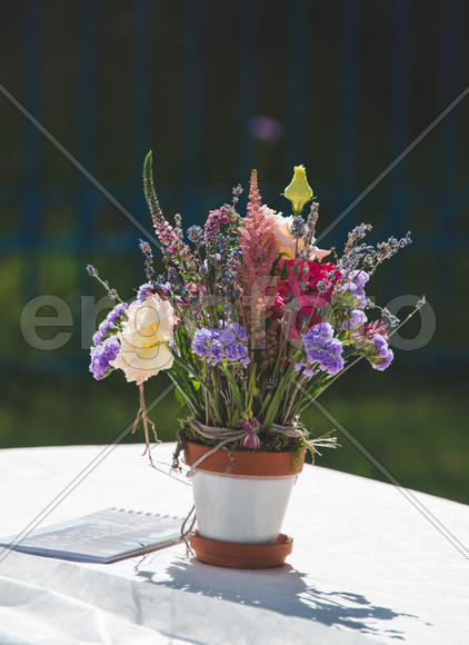 Горшок с цветами