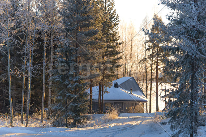 Домик в лесу