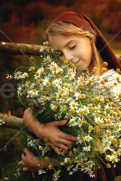 девочка с ромашками