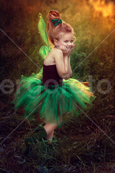 Хитрый эльф