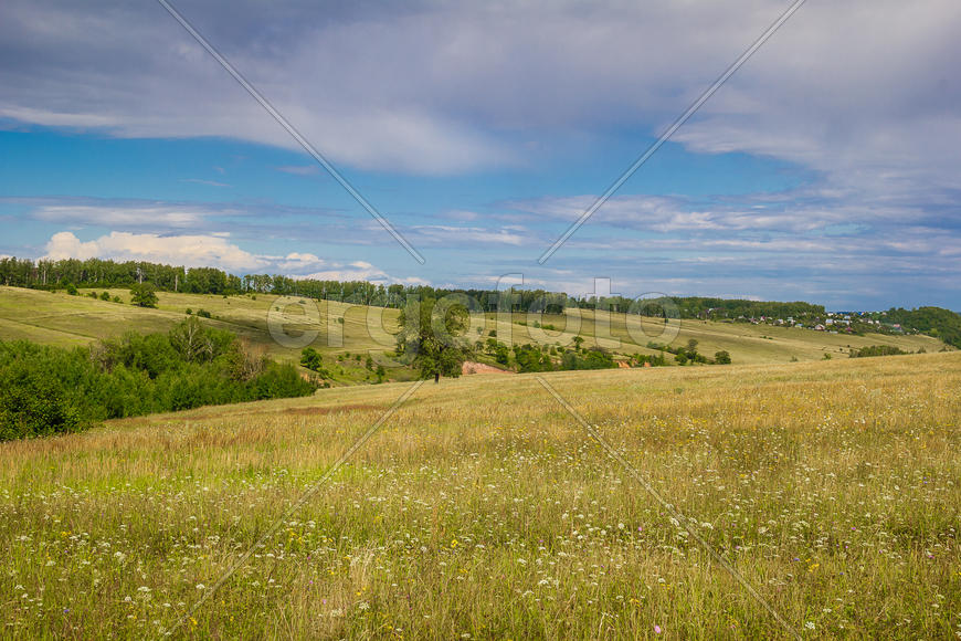 Поля и небо