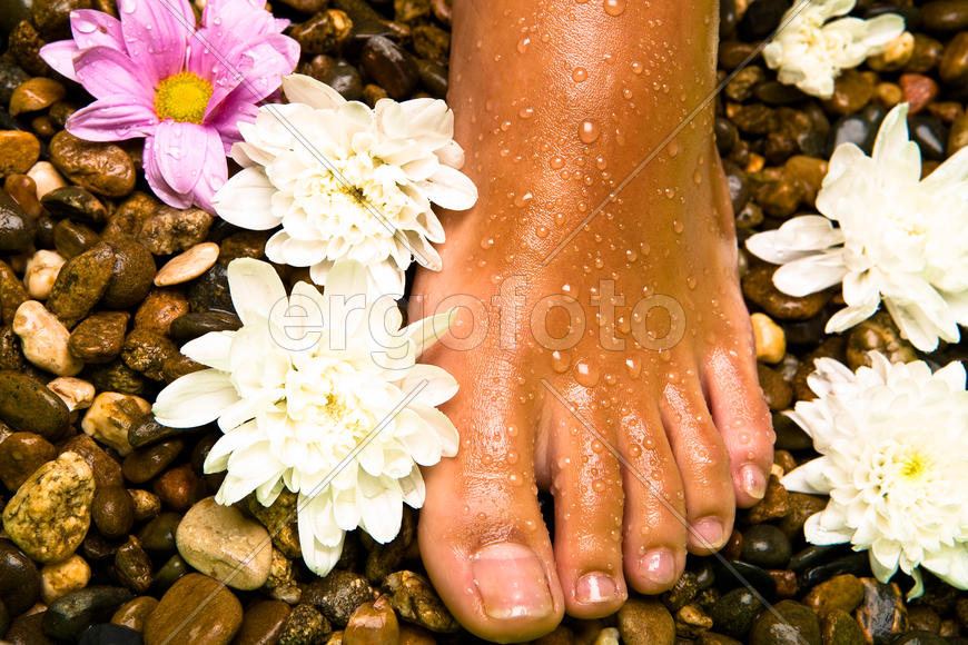 Стопа в цветах