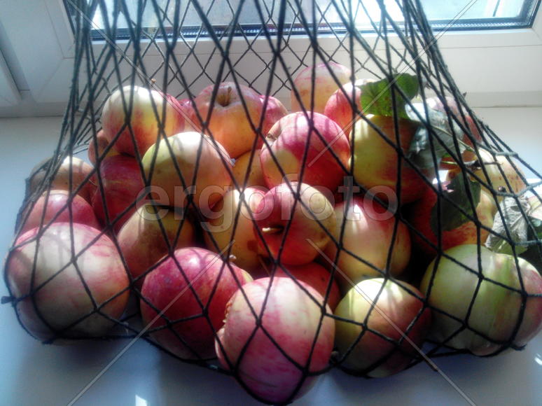 Авоська с яброками