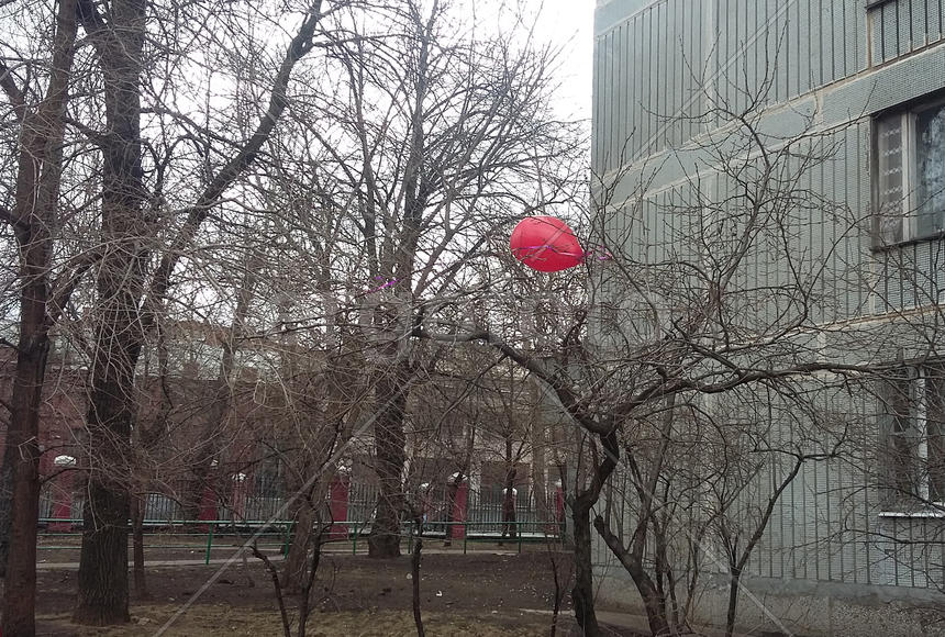 Предвестник Пасхи