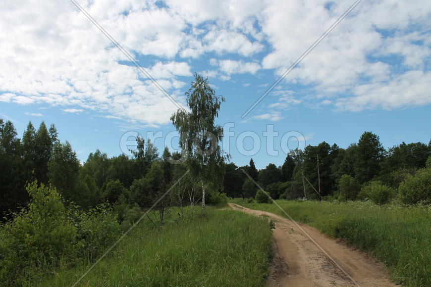 Возле деревни