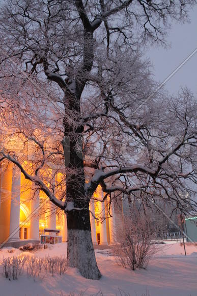Дом Культуры. Дмитров