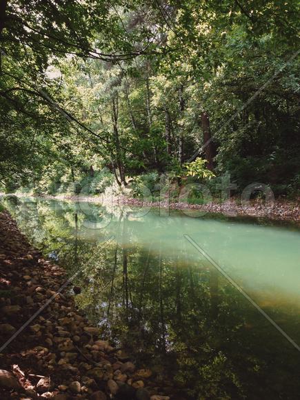 Речка в лесу