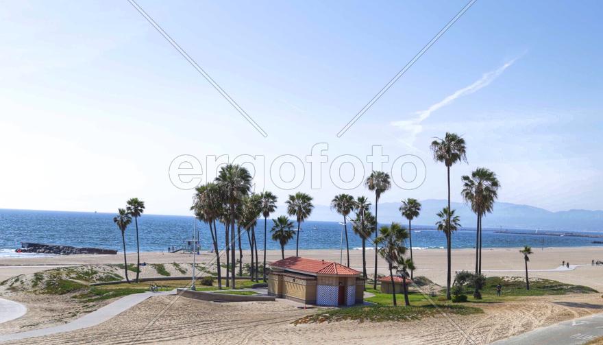 Домик и пальмы